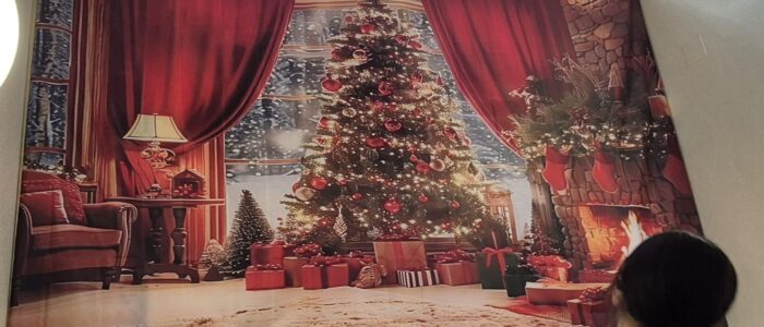 a0555278-90fc-49a7-ad27-cccfbc0524f3